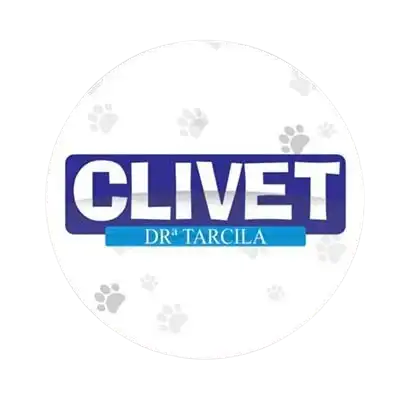 Logo Cliente 40
